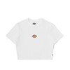 Dickies女式短款LOGO短袖T恤 舒适百搭修身短袖 DK012314 商品缩略图8