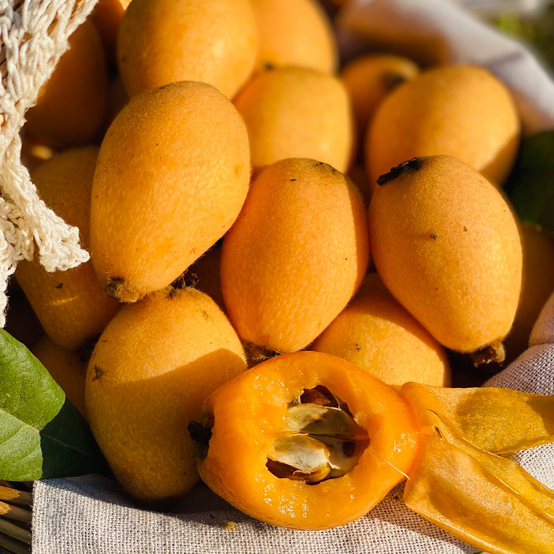 【自营】四川米易枇杷3斤/4.5斤斤 顺丰包邮