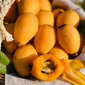 【自营】四川米易枇杷3斤/4.5斤斤 顺丰包邮