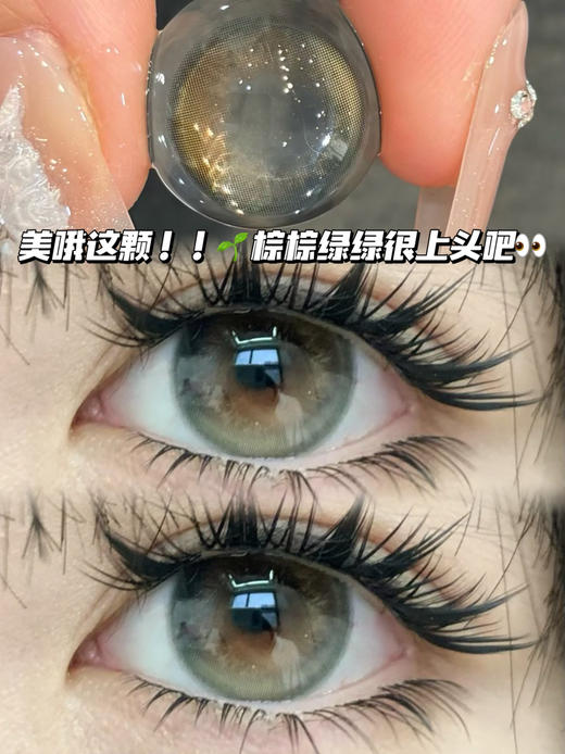 苏梅棕绿·日抛十片装 商品图0