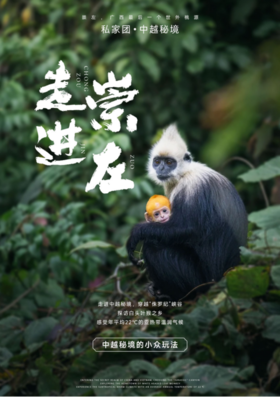 【广西】走进崇左5天4晚