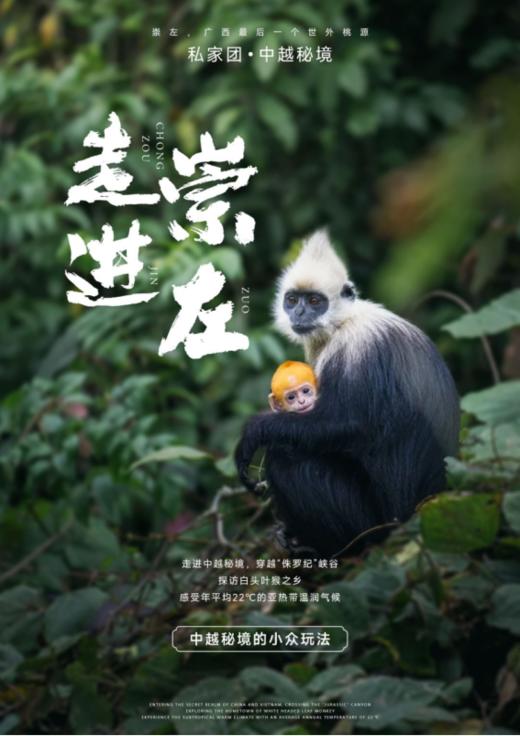 【广西】走进崇左5天4晚 商品图0