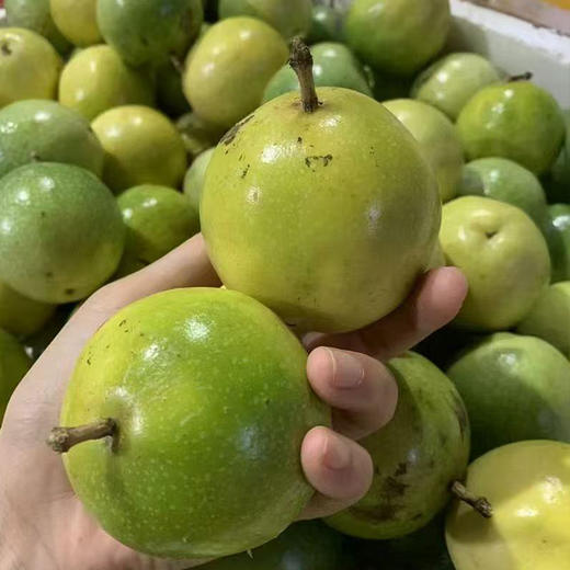 【自营】黄金百香果3斤/5斤  多规格可选 商品图4