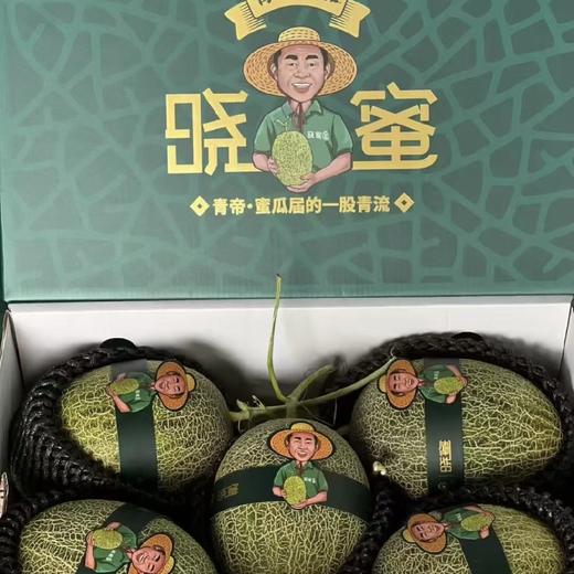 晓蜜青帝蜜瓜（750g） 商品图2