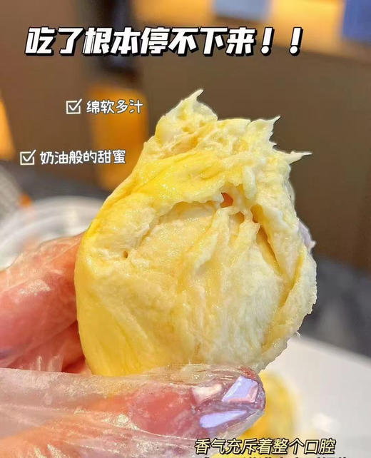 到货象未来800克榴莲肉 商品图1