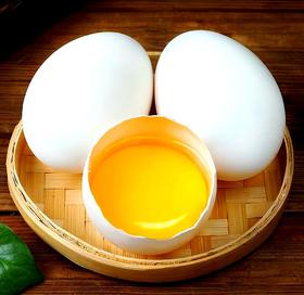 农场散养土鹅蛋 撒欢谷直供 新鲜现捡