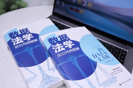 数据法学前沿判例精解 / 何渊 商品图2