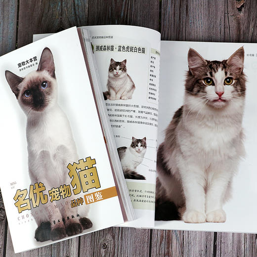 宠物大本营--名优宠物猫品种图鉴 商品图3
