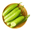 【自营】山东白玉黄瓜3斤/4斤 京东包邮 商品缩略图4
