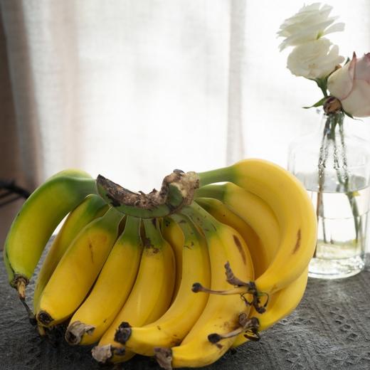 贝壳-佳丽蕉 精心挑选，香甜软糯，果香浓郁，口感细腻 商品图4