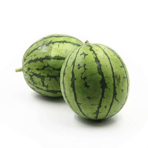 苏梦6号西瓜 约1400g/份 商品图0