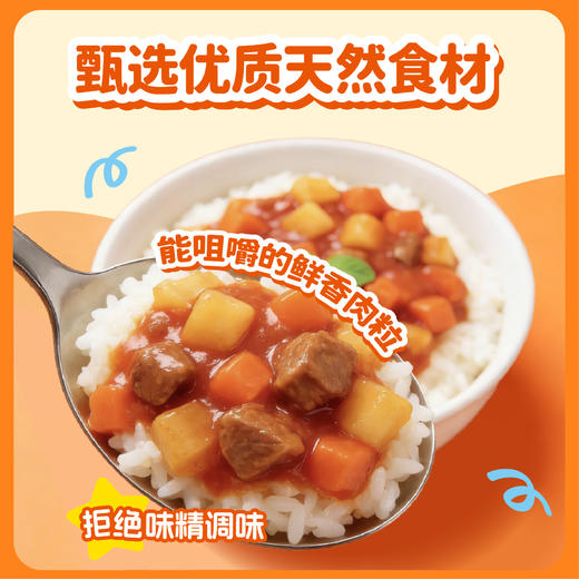 怡芽 面包超人拌饭酱（卤肉/鸡腿/牛肉/牛腩）80g/袋 商品图3