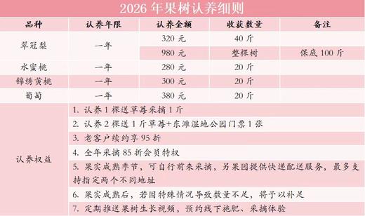 【东滩绿港】果树认养一株（1年） 商品图5
