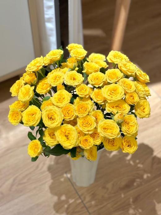 黄色多头玫瑰10枝 商品图1