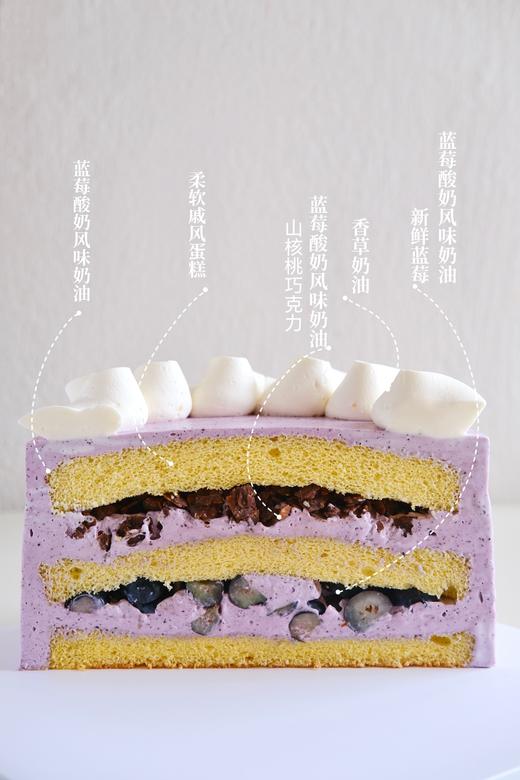 蓝莓优格 商品图3