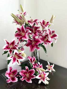 帕拉佐百合10枝