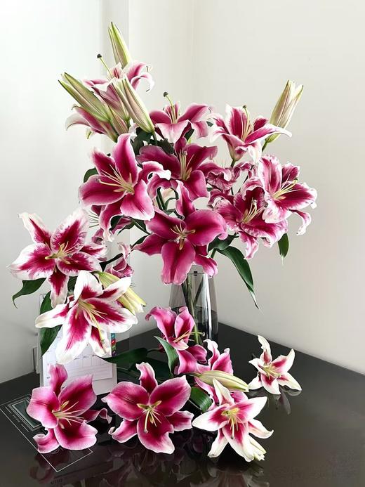 帕拉佐百合10枝 商品图0