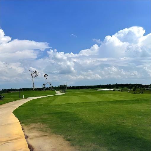 越南·隆安皇家高尔夫度假村 Royal Long An Golf & Villas   | 胡志明高尔夫球场  | 越南高尔夫球场俱乐部 商品图5