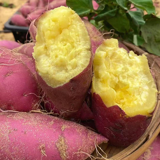 【自营】海南沙地桥头地瓜5斤/8斤 规格可选 商品图4