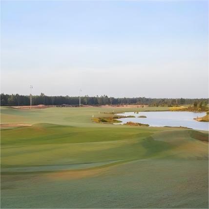 越南·隆安皇家高尔夫度假村 Royal Long An Golf & Villas   | 胡志明高尔夫球场  | 越南高尔夫球场俱乐部 商品图2