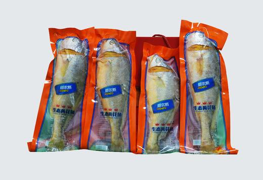 【门店同款】生态黄花鱼（500g*4/提） 商品图1