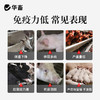 华畜氨基酸多维葡萄糖粉畜禽猪牛羊抗应激养殖鸡鸭鹅饲料添加剂 商品缩略图1