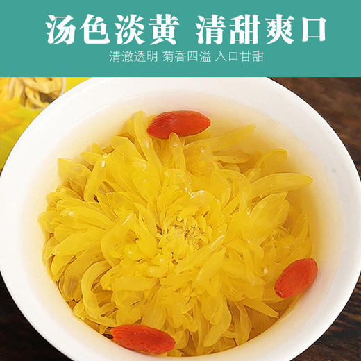 菊花茶金丝皇菊黄菊一朵一杯大朵菊花茶叶大搭枸杞胎菊金银花贡菊 商品图3