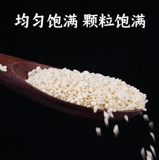 【YC】生白芝麻 商品图1