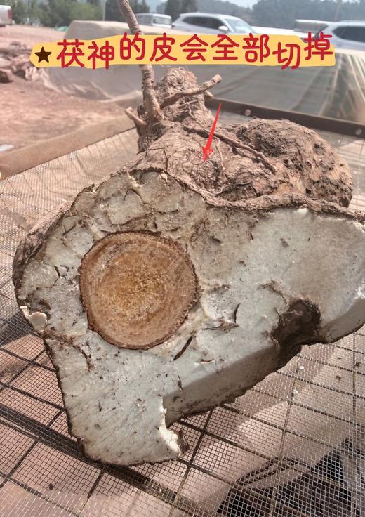 【老树原切茯神片】| 元和优选 手工起皮不熏硫只取木芯周围 直径9cm 300/一盒 商品图1