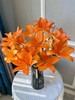 橙色梦想百合10枝 商品缩略图0