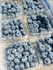 花香脆星空蓝莓  22+大蓝莓 商品缩略图2