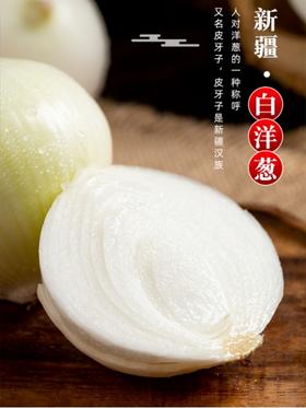 【新疆白皮/紫皮洋葱】又名皮牙子 饱满圆润 辣中带甜 肉厚多汁 营养丰富  5斤装