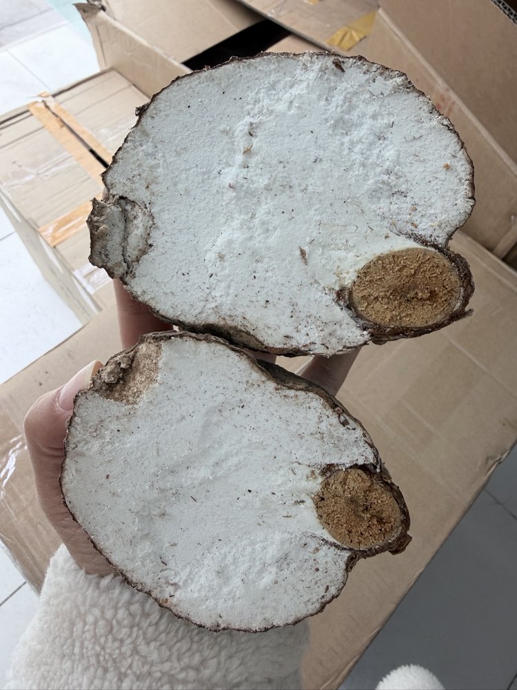 【老树原切茯神片】| 元和优选 手工起皮不熏硫只取木芯周围 直径9cm 300/一盒