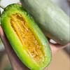 【自营】山东博洋72号蜜瓜3斤/4.5斤 顺丰包邮 商品缩略图4