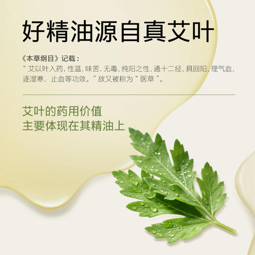 【源方易堂艾叶 艾草身体按摩精油】面护级按摩精华油 一次按摩三重舒享 商品图1
