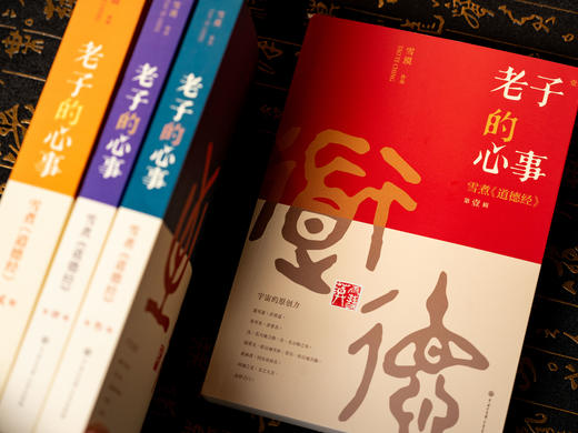 老子的心事：雪煮《道德经》（套装四册） | 文坛大佬雪漠耗时10年创作，口碑爆火，陪你对抗焦虑，修身成事，轻松读懂万经之首，收获旷达的人生智慧 商品图7