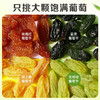 新疆四色葡萄干吐鲁番大颗粒无核提子干黑加仑零食干果果干蜜饯 商品缩略图2