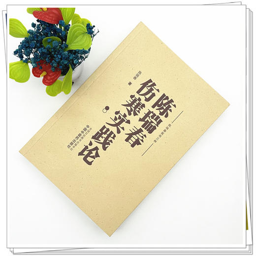 陈瑞春伤寒实践论 陈瑞春 著（陈瑞春医书三种）中国中医药出版社 伤寒论 临床医案 书籍 商品图1