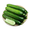 【自营】山东水果小黄瓜3斤/4.5斤 多规格可选 商品缩略图4
