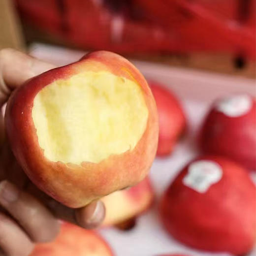 【自营】小花苹果6枚/10枚/12枚 规格可选（单果约160g+） 顺丰包邮 商品图0