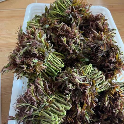 [最农公社]顺丰到家|沂蒙山露天红油香椿1斤2斤3斤4.5斤 商品图9