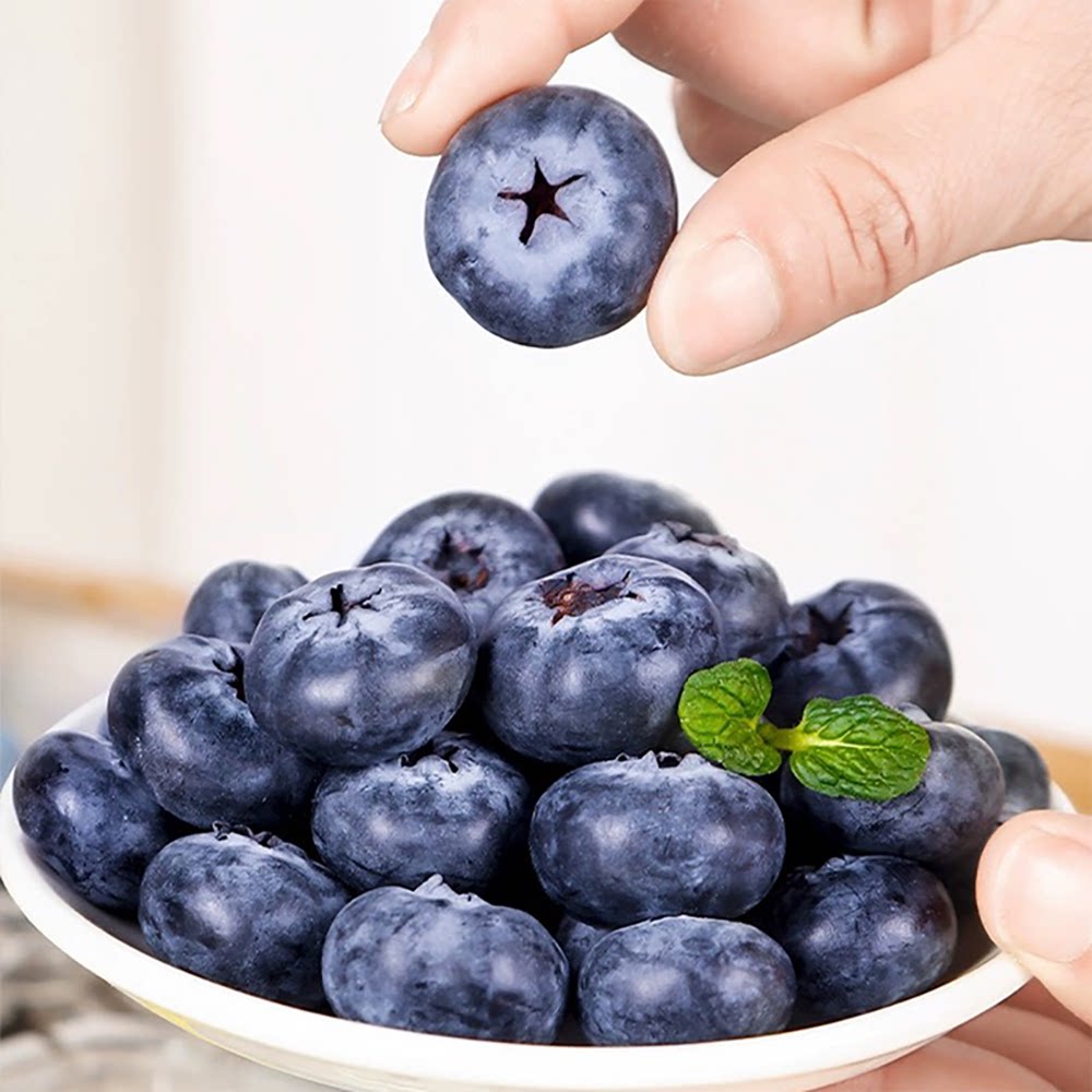 【纯甜L11】云南特级高山蓝莓18+顺丰包邮【标准125克/盒，非电商100克/盒】