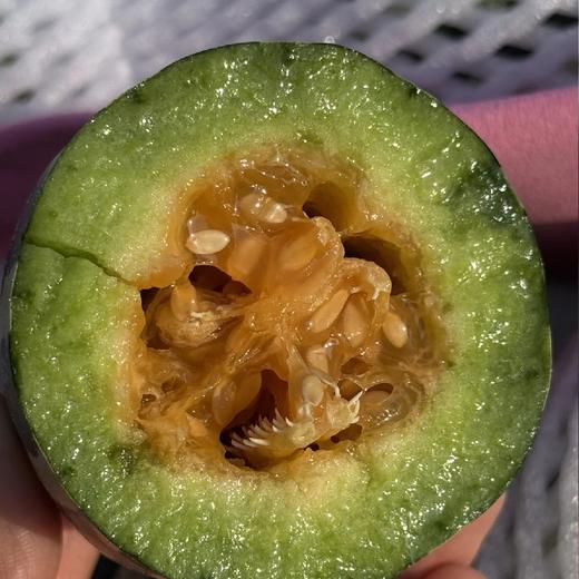 【包邮】连皮带籽一起吃~【博洋蜜瓜】(净重约3斤)~源头直采，当你见到它的时候我们已经淘汰90%的歪瓜裂枣，一颗甜蜜脆爽的甜瓜，承包这个春天的绿意香甜！脆嫩无渣又带有特有香气！ 商品图5