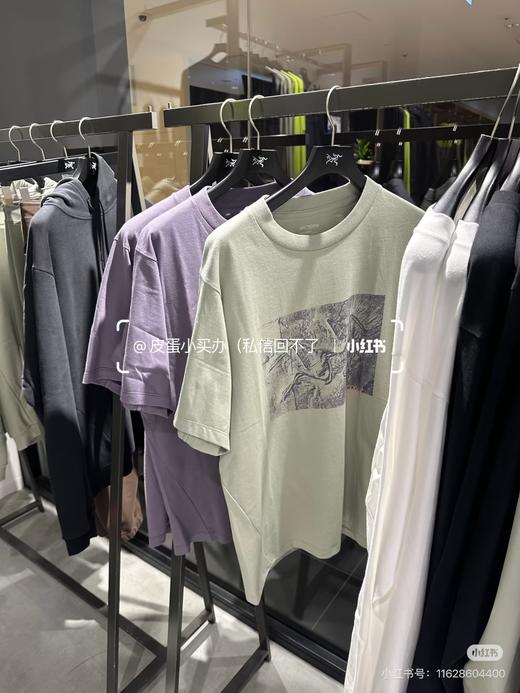 鸟 化石鸟印花棉质圆领短袖T恤 特惠 Z-15915 商品图9