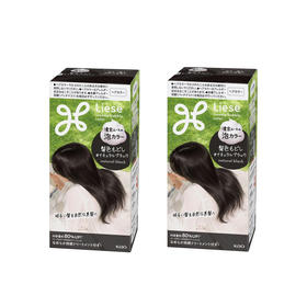 【跨境】花王Liese泡沫染发剂自然黑色115ml*2（独立包装）