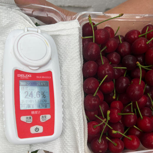 【预售4.4发货 一件包邮】山野小樱桃|四川攀枝花（只发广东） 商品图4