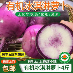 有机冰淇淋萝卜4斤/6斤/10斤脆甜不辣可生食生鲜蔬菜包邮