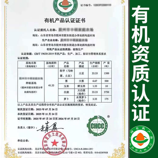 有机冰淇淋萝卜500g脆甜不辣果肉多汁新鲜满额包邮 商品图1