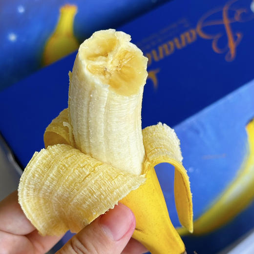 【下单送一斤】海南佳丽香蕉京东空运包邮下单从三亚发货 商品图0