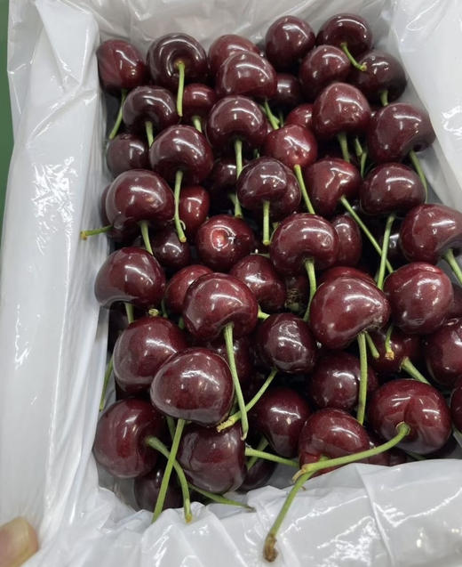 满天星吉赛拉樱桃（特大果）（散称88/斤 称重补差） 商品图0